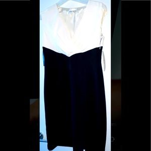 Evan Picone cocktail dress. Color is Ivory top with black. Size 6 petite.